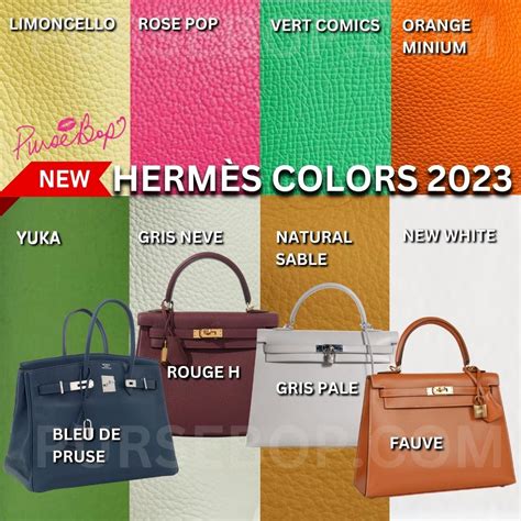 hermes birkin bag buckle|Hermes Birkin Bag color.